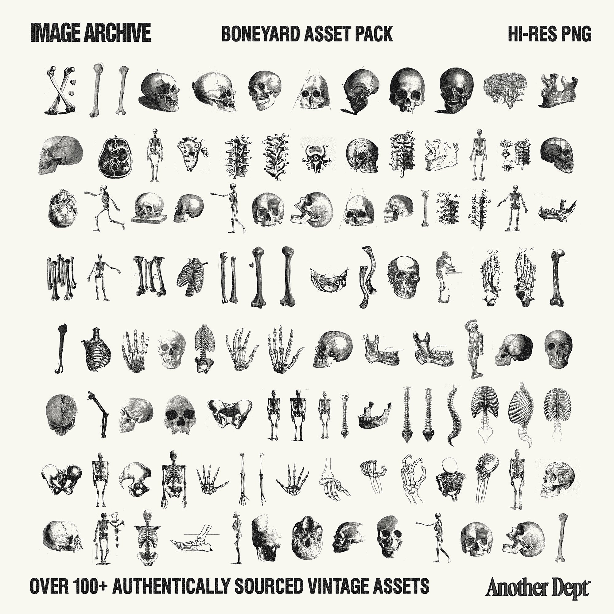 IMAGE ARCHIVE™ - Boneyard